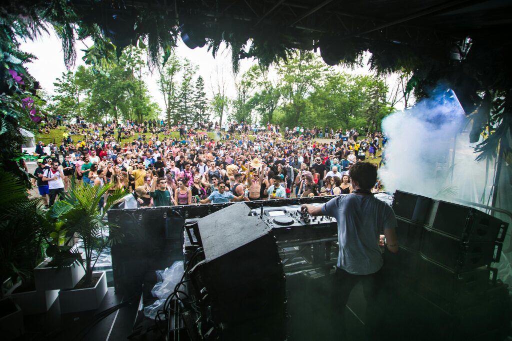 DJ performing with a lively crowd at an outdoor music festival.